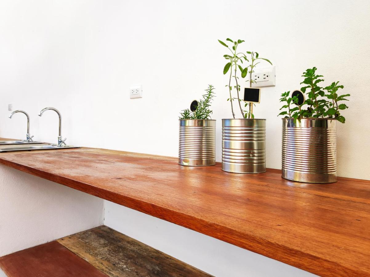 Ico Living Hostel Playa Santa Teresa  ภายนอก รูปภาพ